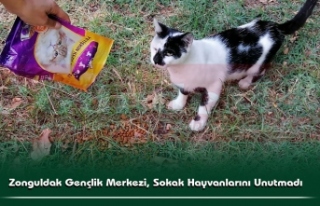 Zonguldak Gençlik Merkezi, Sokak Hayvanlarını Unutmadı