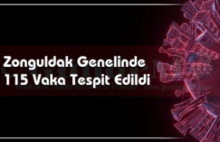 Zonguldak Genelinde 115 Vaka Tespit Edildi.