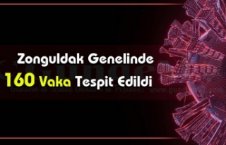 Zonguldak Genelinde 160 Vaka Tespit Edildi.