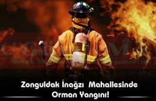 Zonguldak İnağzı Mahallesinde Orman Yangını!