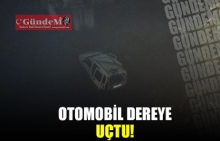 OTOMOBİL DEREYE UÇTU!