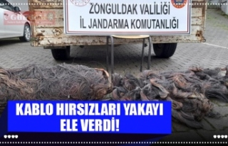 KABLO HIRSIZLARI YAKAYI ELE VERDİ!