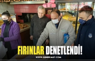 FIRINLAR DENETLENDİ!