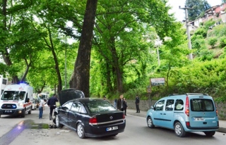 Otomobil refüjdeki ağaca çarptı: 2 yaralı