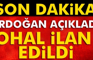Cumhurbaşkanı Erdoğan: OHAL ilan ettik
