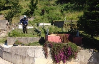 Kozlu'da mezarlıklar temizlendi
