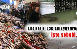 Alaplı halkı ucuz balık yiyemiyor, işte sebebi…