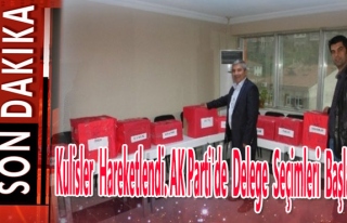 Kulisler hareketlendi. AK Parti'de delege seçimleri...