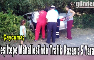 Yeşiltepe Mahallesi'nde Trafik Kazası: 5 Yaralı