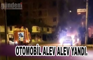 Zonguldak'ta Otomobil alev alev yandı.