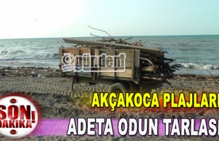 Akçakoca Plajları Adeta Odun Tarlası