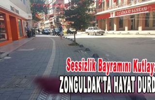 Sessizlik Bayramını kutlayan Zonguldak'ta hayat...