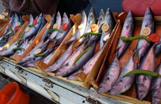 Akçakoca'da Balık tezgahları şenlendi