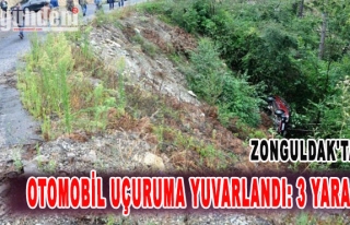 Zonguldak'ta Otomobil Uçuruma Yuvarlandı: 3 Yaralı