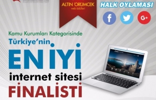 BAKKA Türkiyenin en iyi internet sitesi finalisti...