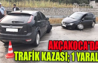 Akçakoca'da Trafik kazası; 1 Yaralı
