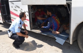 Yolcu Otobüsünde 7 Kaçak Göçmen Yakalandı