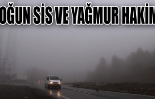 Zonguldak'ta yoğun sis ve yağmur hakim