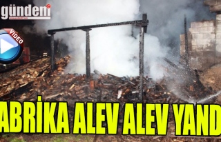 Ormanlı'da Kereste fabrikası alev alev yandı
