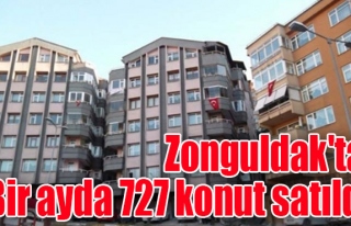 Zonguldak'ta Bir ayda 727 konut satıldı