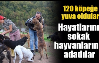 120 köpeğe yuva oldular Hayatların sokak köpeklerine...