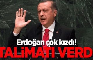 Cumhurbaşkanı Erdoğan cam filmi cezalarına kızdı!