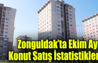 Zonguldak'ta Ekim Ayı Konut Satış İstatistikleri