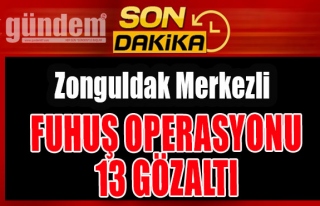 Zonguldak Merkezli Fuhuş operasyonu: 13 Gözaltı
