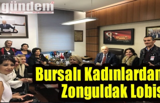 Bursalı kadınlardan, Zonguldak lobisi