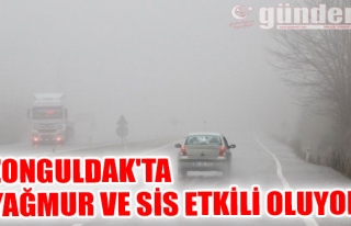 Zonguldak'ta Yağmur ve sis etkili oluyor