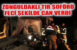 Zonguldaklı Tır şoförü feci şekilde can verdi