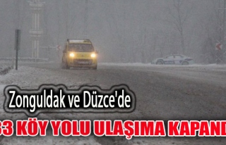 Zonguldak ve Düzce'de 33 köy yolu ulaşıma kapandı