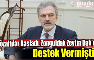 Gözaltılar Başladı. Zonguldak Zeytin Dalı'na...