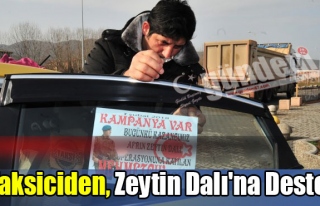 Taksiciden, Zeytin Dalı'na destek