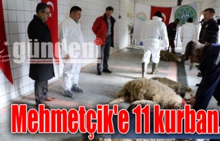 Mehmetçik'e 11 kurban...