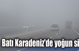Batı Karadeniz'de yoğun sis...