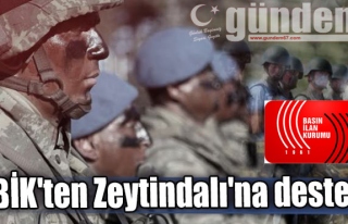 BİK'ten Zeytindalı'na destek