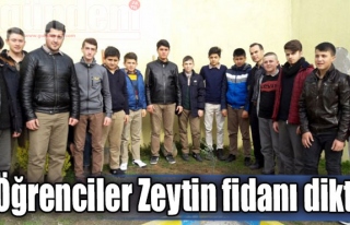 Öğrenciler Zeytin fidanı dikti
