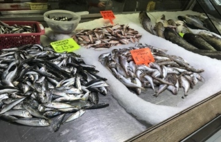 Tezgahlara yayın balığı 25 TL'den satılıyor