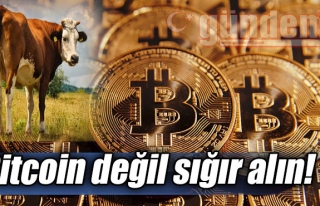 Bitcoin değil sığır alın!