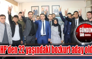 MHP'den 22 yaşındaki bozkurt aday oldu!