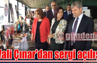 Vali Çınar'dan sergi açılışı