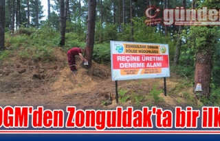 OGM'den Zonguldak'ta bir ilk!