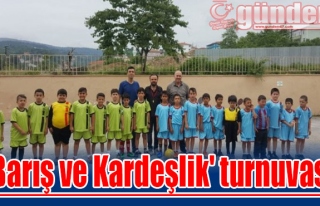 Ereğli'de 'Barış ve Kardeşlik' turnuvası
