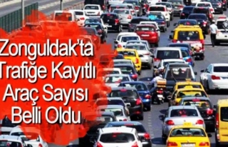 Zonguldak'ta araç sayısı açıklandı!..