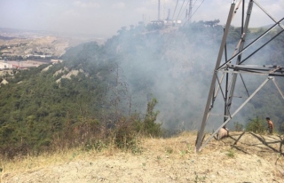 Safranbolu'da buğday tarlasında çıkan yangın