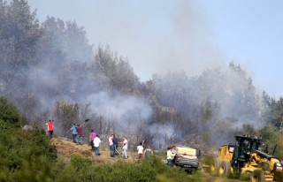 Yığılca ilçesinde 1 hektarlık alanda orman yangını