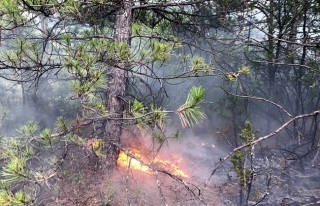 10 ayrı noktada çıkan orman yangını söndürüldü