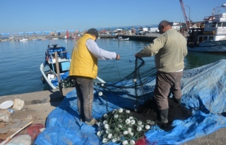 Düzce'de balıkçılar palamut avından memnun değil