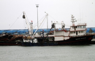 Kuvvetli rüzgar balıkçıları limana demirletti